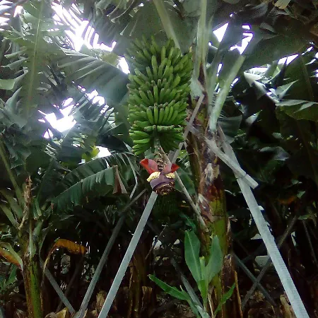 Casa Da Faja Lägenhet *